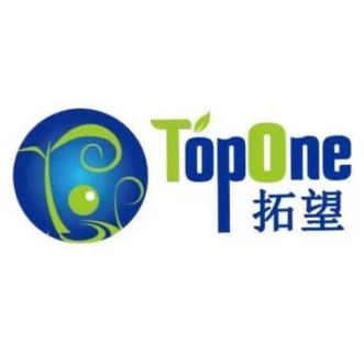 Topone -Logo